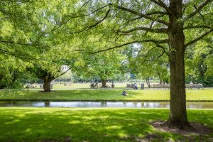 Vroesenpark-6-1620x1080