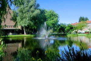 fontein_statensingel_01