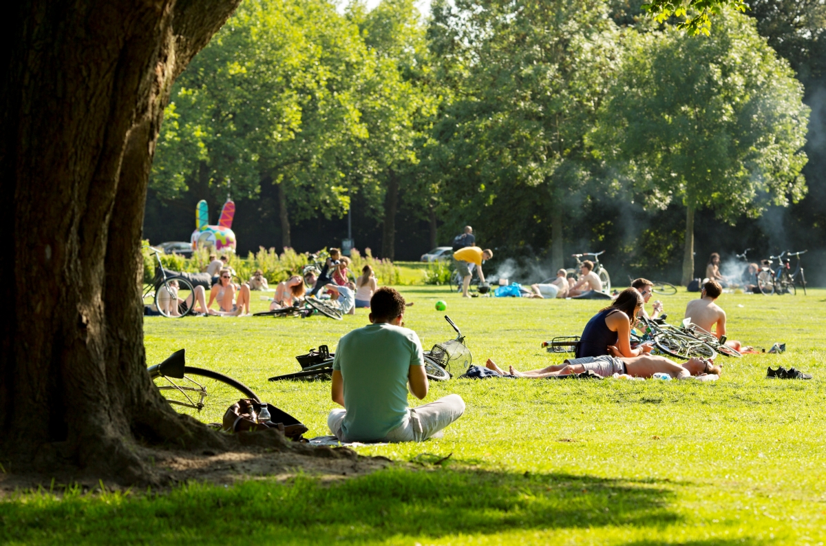 vroesenpark